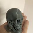 IMG_1250.jpg Detailed Human Skull,  PreSupported