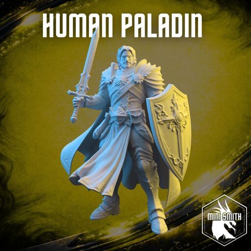 Human Paladin (Pre Supported)