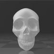 Craneo-1.jpg Cranium