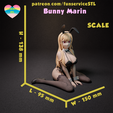 scale.png Bunny Marin Kitagawa
