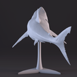 12.png White Shark Statue