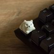 Dogys_keycaps-03.jpg Doggies keycaps - Mechanical Keyboard