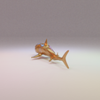 shark-03.png Shark 3D