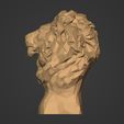 I7.jpg Low Poly Lion Bust