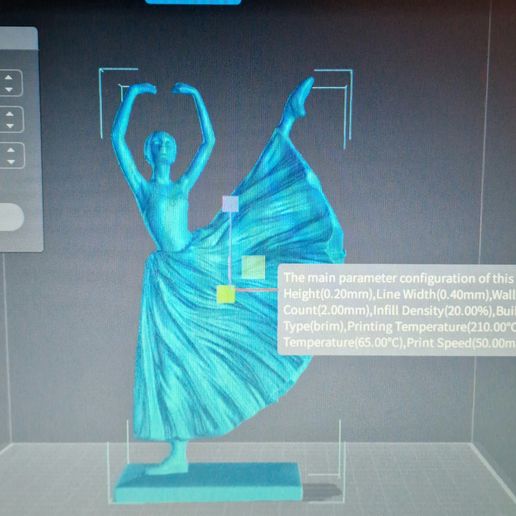 20230731_092657.jpg Ballerine_2