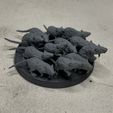 IMG_1559.jpg Free 3MF file Ravenous Rodent Swarms・Object to download and to 3D print, EmanG