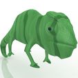 Chameleon_4.jpg Chameleon 3D model