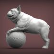 French_Bulldog2.jpg French Bulldog 3D print model