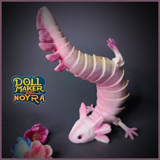 Q-C6BAviis4.jpg Articulated axolotl