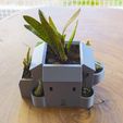 IMG_20210925_160750.jpg Isometric Manor Multi-Pocket Planter - No Supports