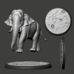 09.jpg STL file Elephant Asian・Design to download and 3D print, F-solo