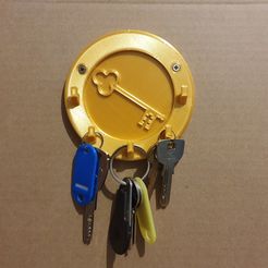 20201203_144812.jpg Wall mounted key ring (key)