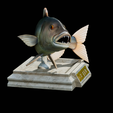 Dentex-trophy-4.png fish Common dentex / dentex dentex trophy statue detailed texture for 3d printing