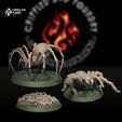 GiantSpiders_Swarm.jpg Paquete de arañas gigantes