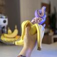 EE92A140-131D-41A8-B10B-0E32623F868C.jpeg 3D file Tentanana & Tentacone・3D printing model to download