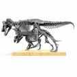 15.jpg Tyrannosaurus vs. triceratops v1