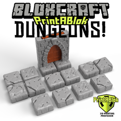 adf7ceec-d5f0-4e22-8f79-94b2ac22d6c5.png Free 3D file BlokCraft Dungeons! Base Set・3D printer model to download, fturfler2