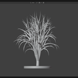 Screenshot-2026-03-08-103959.png Дерево