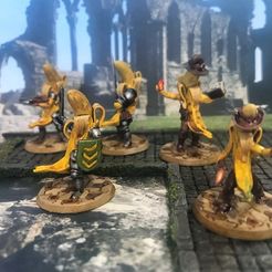 eed493f34a4b0faa07ef9182521e2b57_display_large.JPG Free STL file Frostgrave Banana Warband - Set 1・3D printing model to download