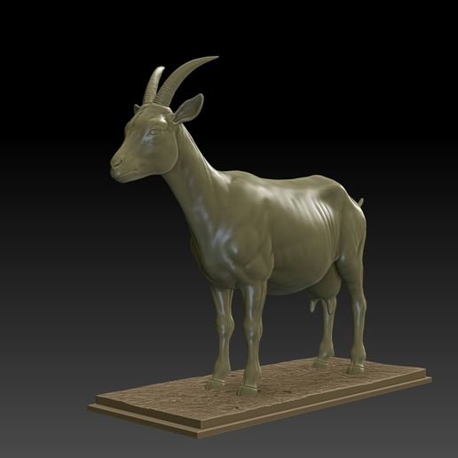 1.jpg Ziege 3D Modell