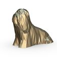 1.jpg Lhasa Apso Figur