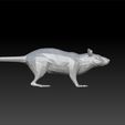 rat2222.jpg Rat low poly- rat for game