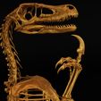 Velo4.jpg Velociraptor Skeleton Meme Diorama Philosoraptor