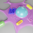 Neuronio3.png 🧠 Multicolored Neuron 3D Model – Nerve Cell for 3D Printing