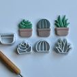 IMG_4106.jpeg Cactus pot combiné timbre/coupe