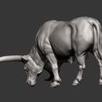 Texas-Longhorn12.jpg Texas Longhorn 3D print model