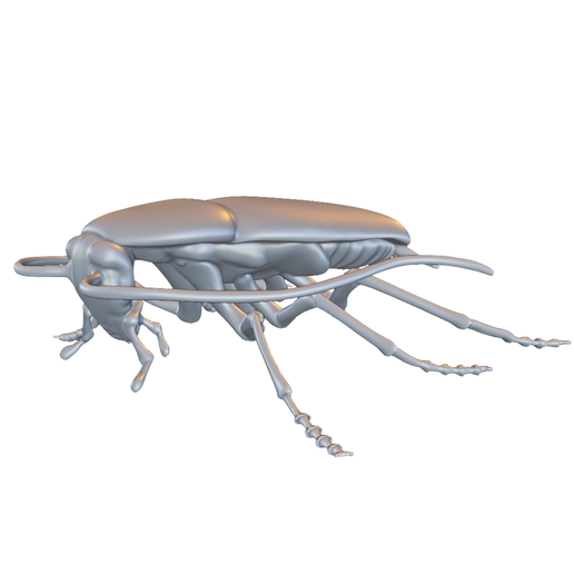 🪲 Longhorn Beetle Insect・ STL File for 3D printing・Cults