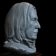 04.jpg Severus Snape (Alan Rickman) 3d Printable Model, Bust, Portrait, Sculpture, 153mm tall, downloadable STL file