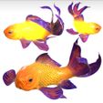 portada.jpg GOLDFISH Guppy Blue Grass FISH TOAD AMPHIBIAN TADPOLE ANIMAL ANATOMY 3D MODEL WATER OCEAN RIVER BOAT SALMON SHARK