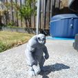 b6913b8f-964f-444d-910d-f59a8466fa2a.jpg Chunky Cave Troll — Tiny, Grumpy, Unreasonably Lovable
