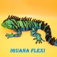 iguana_flexi.jpg iguana_flexi_printinsitu