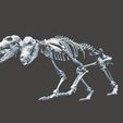 Unbenannt21.JPG STL file Unknown Creatures - Cerberus Skeleton・3D printer model to download