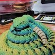 Serpiente y cascabel