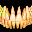 preview.png UPDATE- The latest 2025 Grin Design library collection