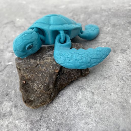 sea-turtle1.jpg Tartaruga marinha