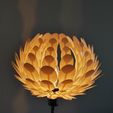 Lotuslamp_1_display_large.jpg Lotus lamp