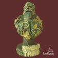 Swamp-thing-by-ikaro-ghandiny-1.jpg Swamp Thing