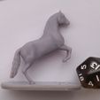 IMG_20230302_121305.jpg Horse Miniatures Set