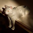 IMG_3784.jpg 猫のプランター・ポット
