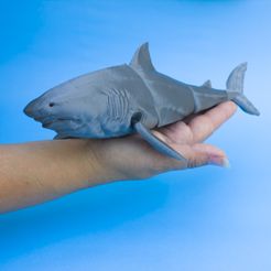 1.jpg STL-Datei Großer Weißer Hai Artikuliert Print-in-Place・Modell zum Herunterladen und 3D-Drucken