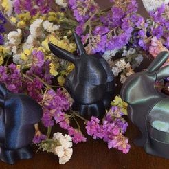 DSC_0155_1k.jpg Бесплатный STL файл Puzzling Bunny (Burr Puzzle)・Идея 3D-печати для скачивания