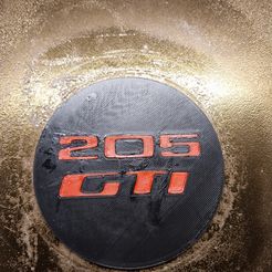 20230525_234130.jpg 205 GTI logo