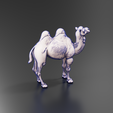 Cults06.png Bactrian Camel
