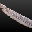 feather-005.png Feather