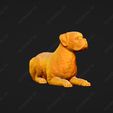 2559-Boxer_Pose_08.jpg Boxer Dog 3D Print Model Pose 08
