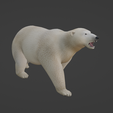 Capture-d’écran-2023-06-25-à-14.15.34.png bear and polar bear